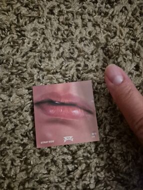 Stray Kids IN Lip PC